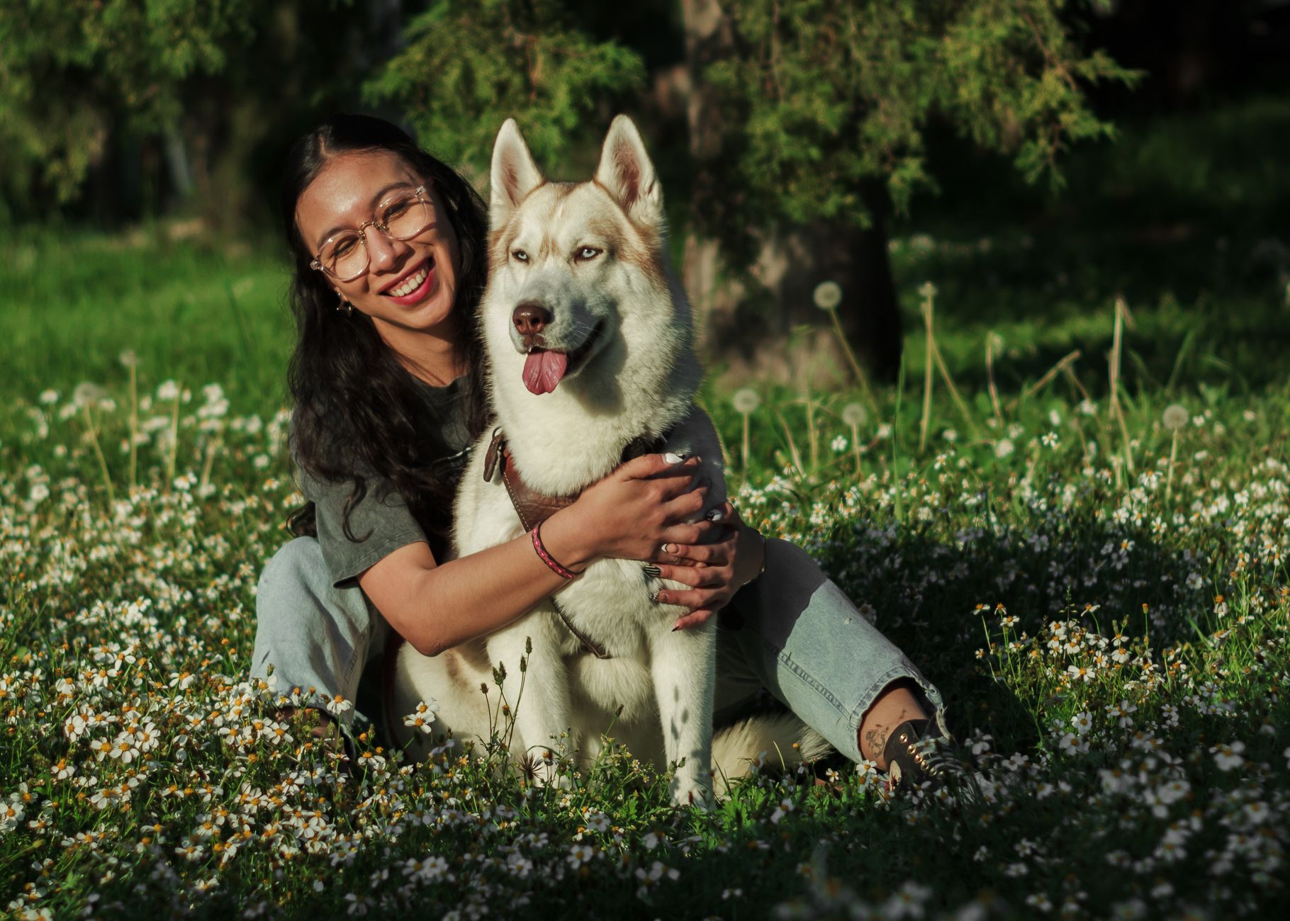 woman hugging siberian husky in sunny garden
