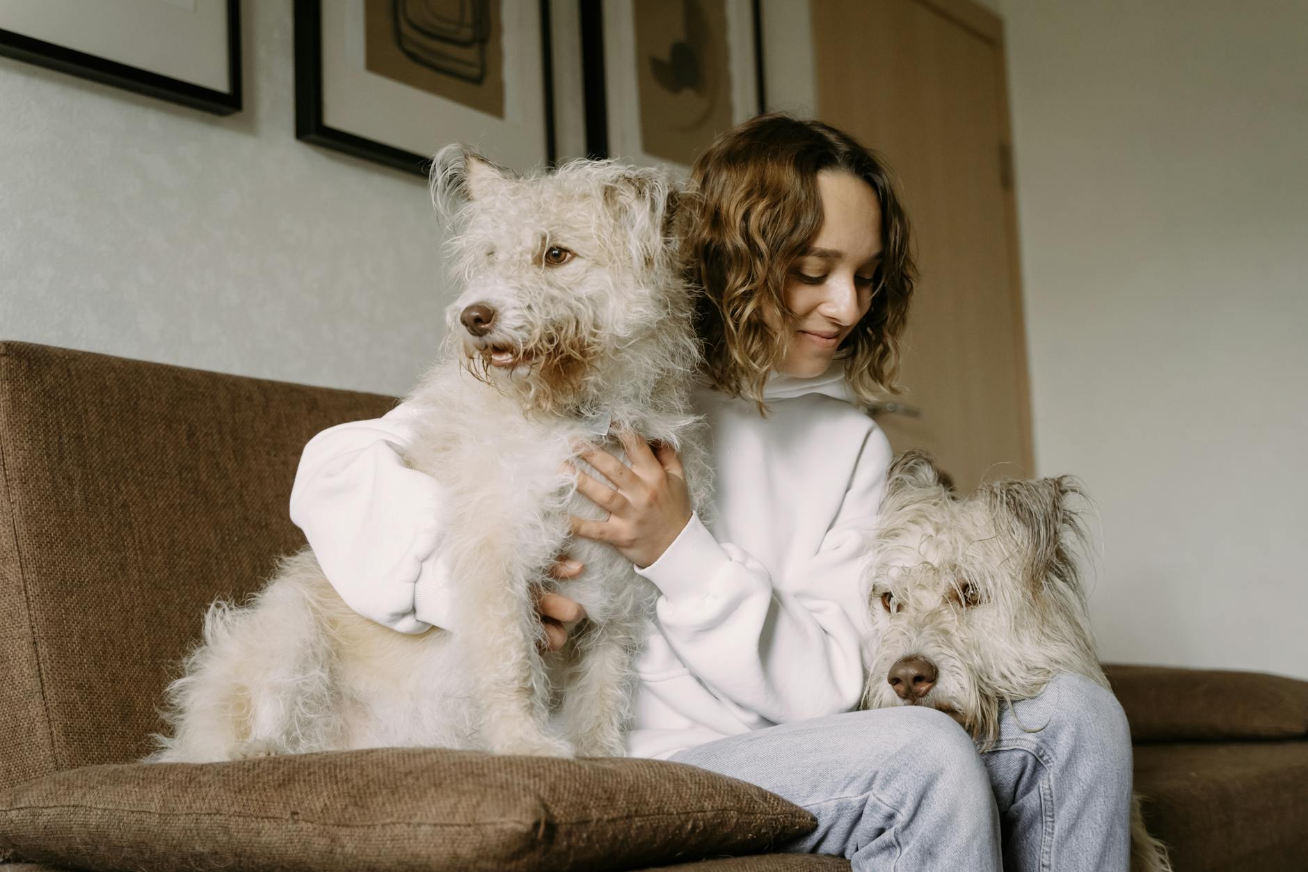woman sitting on a couch with her dogs